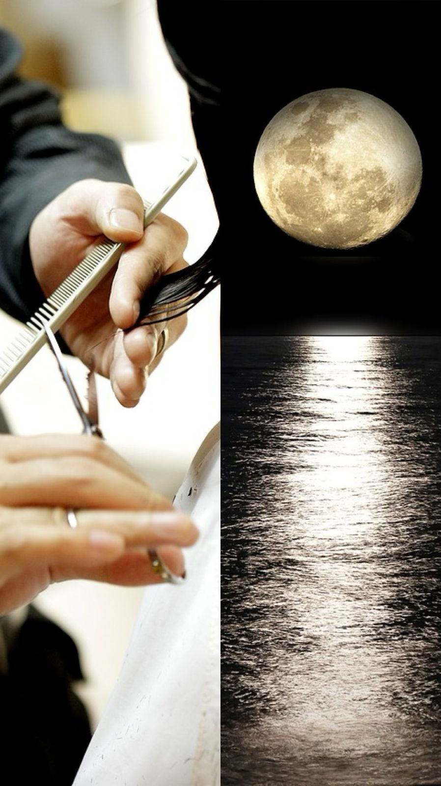 máquina de cortar cabelo Wahl vs Philips qual a melhor