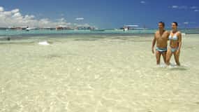 Planeje Sua Viagem: A Melhor Época para Visitar Maceió e Economizar