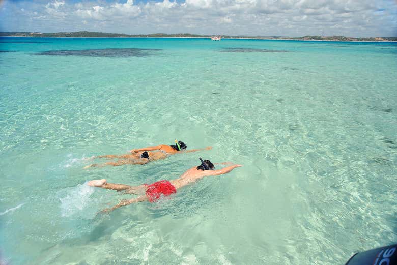 Planeje Sua Viagem: A Melhor Época para Visitar Maceió e Economizar