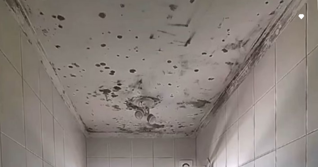 pintura em áreas úmidas