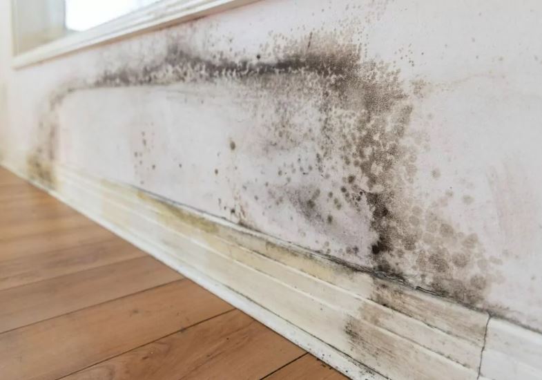 Maiores erros ao pintar parede com umidade