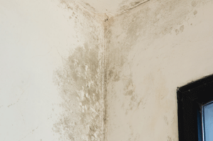 pintura em áreas úmidas