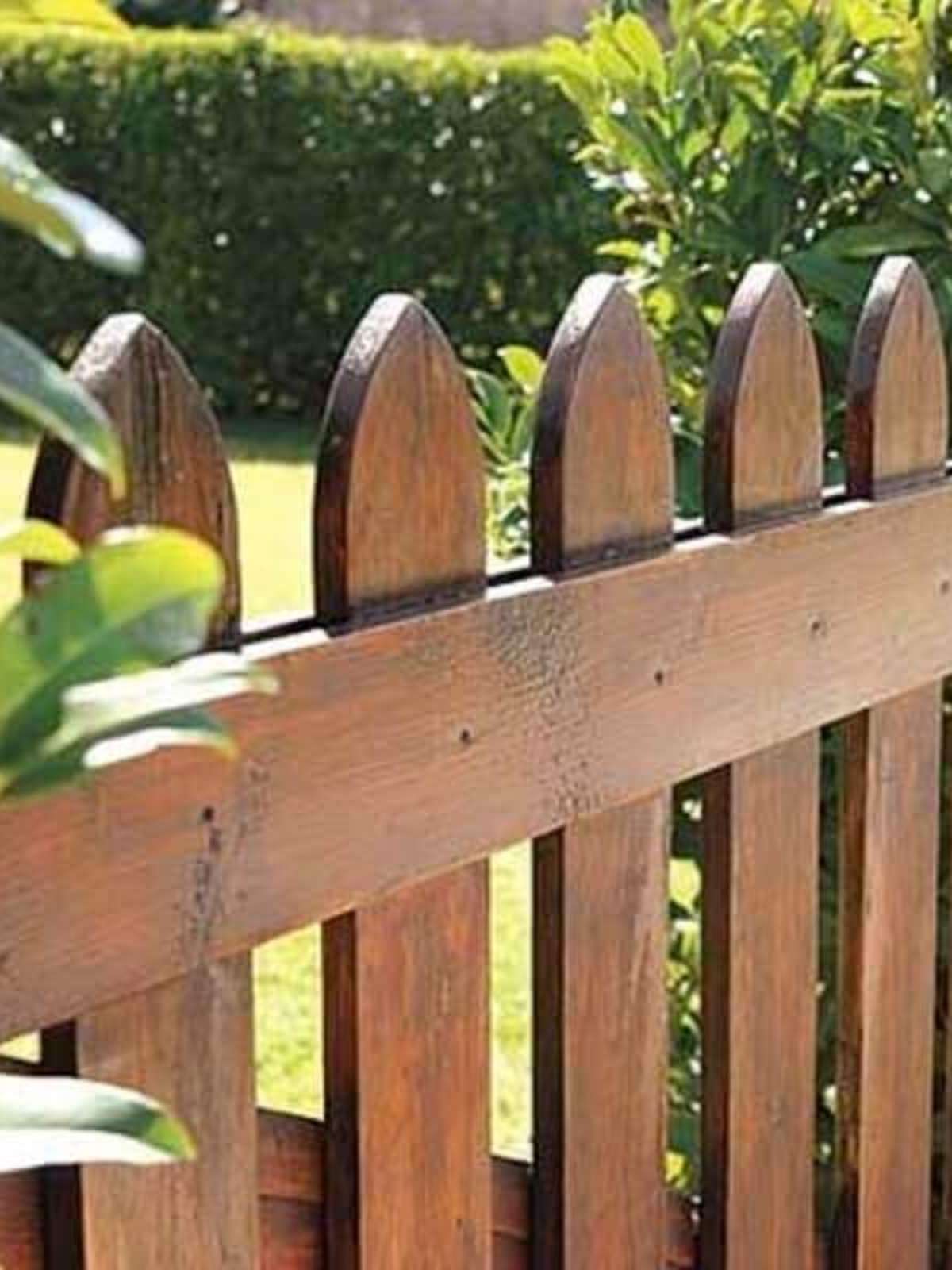 Guia Completo: Escolhendo a Melhor Madeira para Sua Cerca Externa