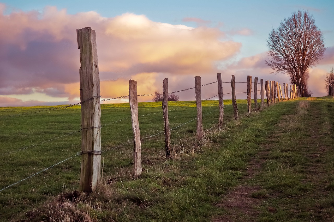 Checklist Essencial para a Manutenção Preventiva de Cercas da Fazenda