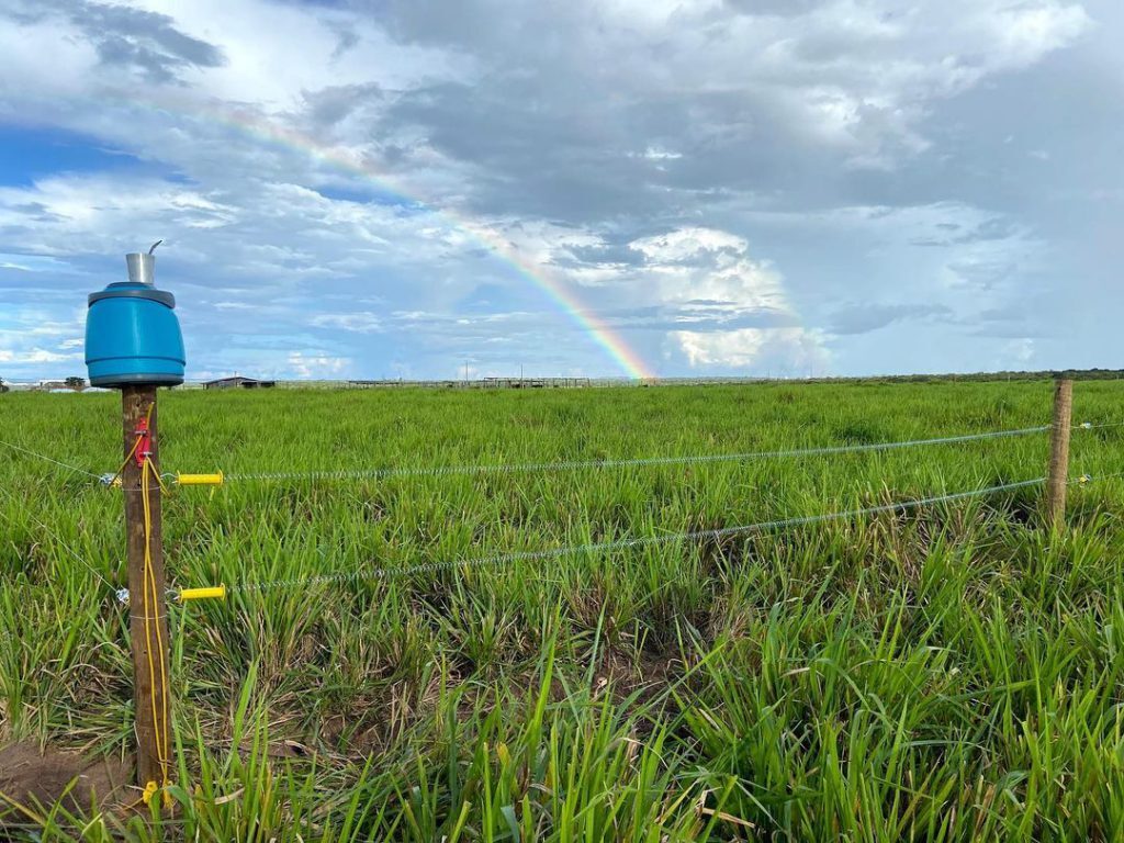Cerca Elétrica: Como Garantir a Tensão e o Aterramento Corretos