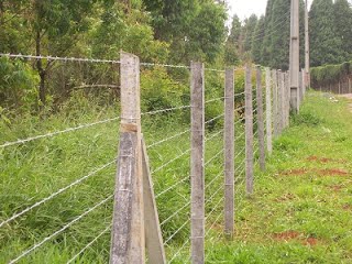 Direitos e Deveres: A Responsabilidade Legal da Manutenção de Cercas Divisórias