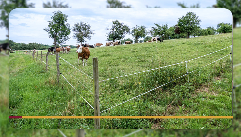 Guia Completo de Ferramentas para Manutenção de Cercas Rurais