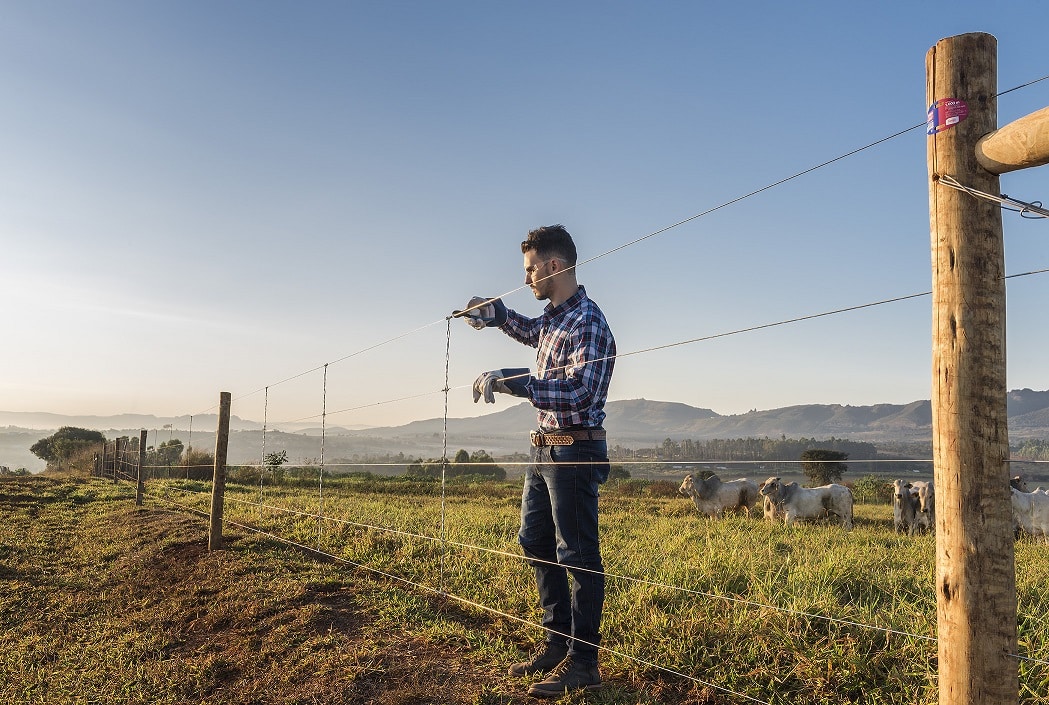 Cerca Elétrica: Como Garantir a Tensão e o Aterramento Corretos