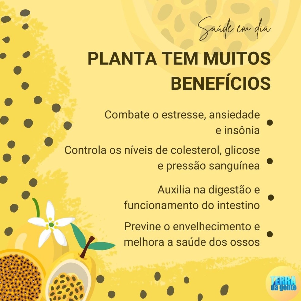 maracujá benefícios e malefícios