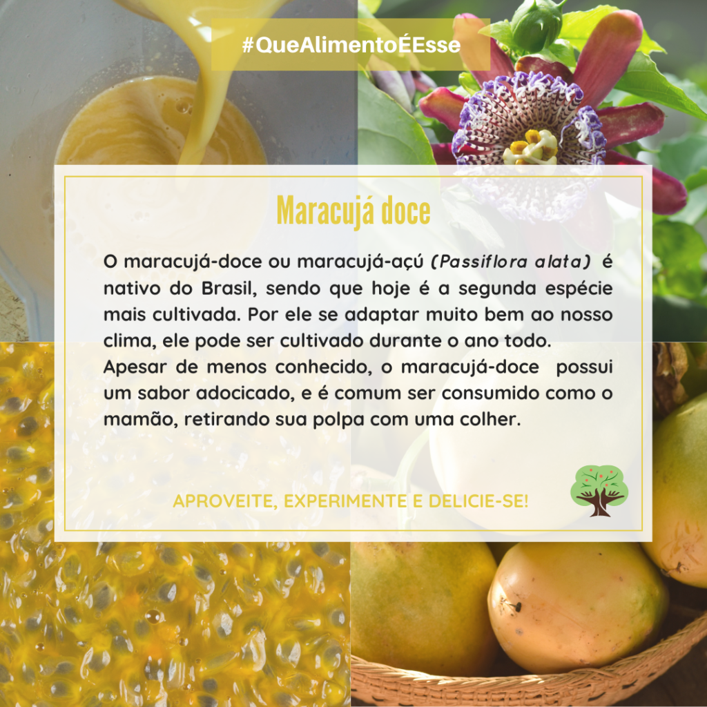 Farinha de Maracujá: Como Preparar e Usar para Controlar a Glicemia