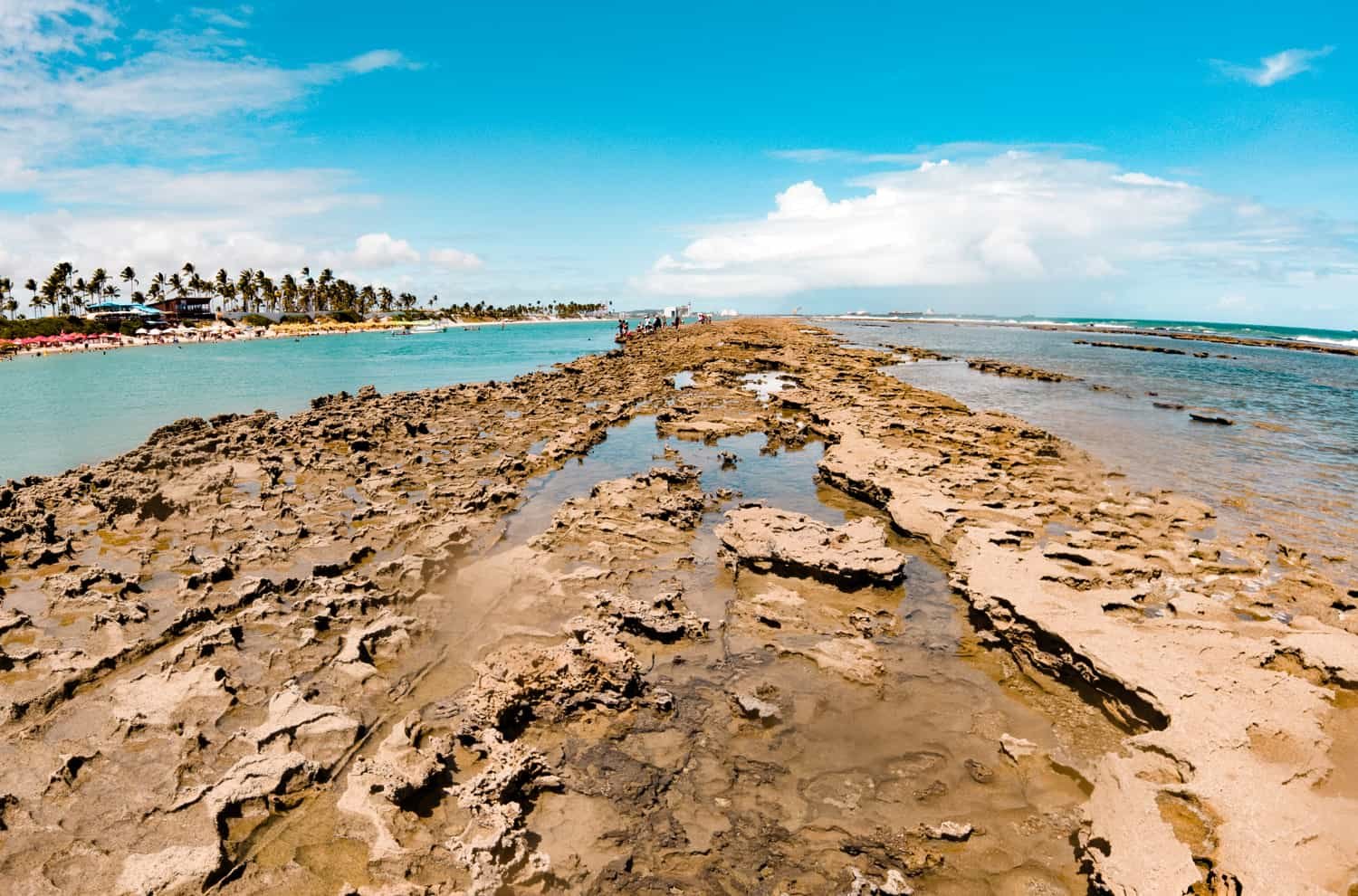 Tábua de Marés Muro Alto