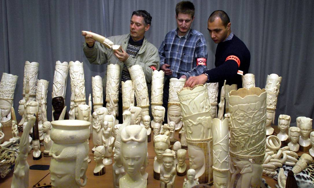 Além da Cor: Outros Usos e Significados do Termo Marfim no Brasil