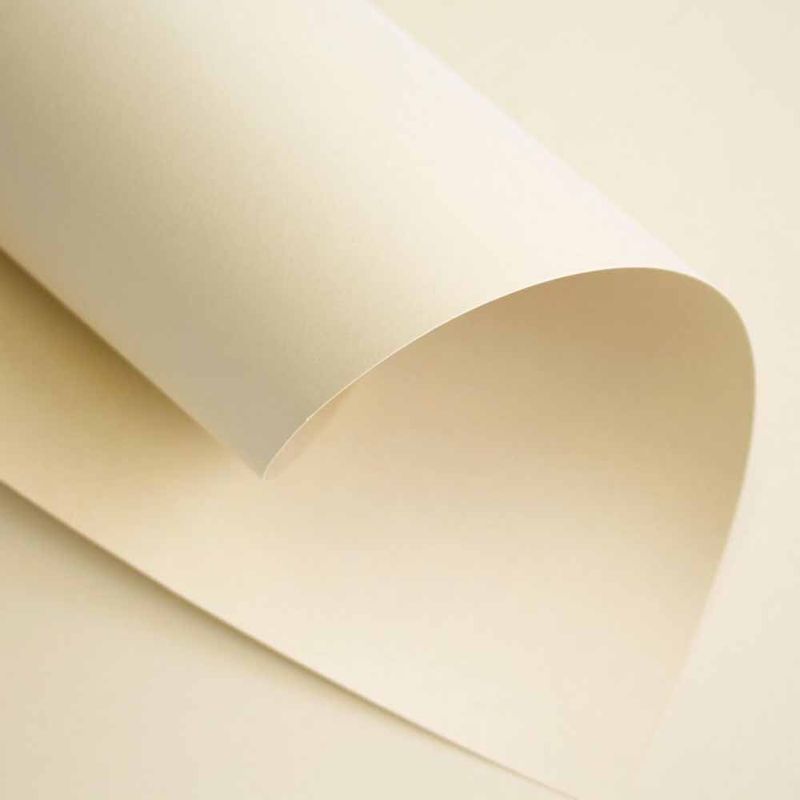 A Luta Contra o Comércio Ilegal de Marfim: Impacto nos Elefantes