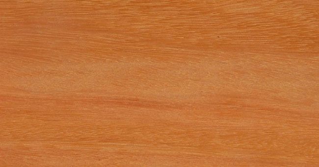 Bodas de Marfim: Celebre 14 Anos de Amor e Solidez