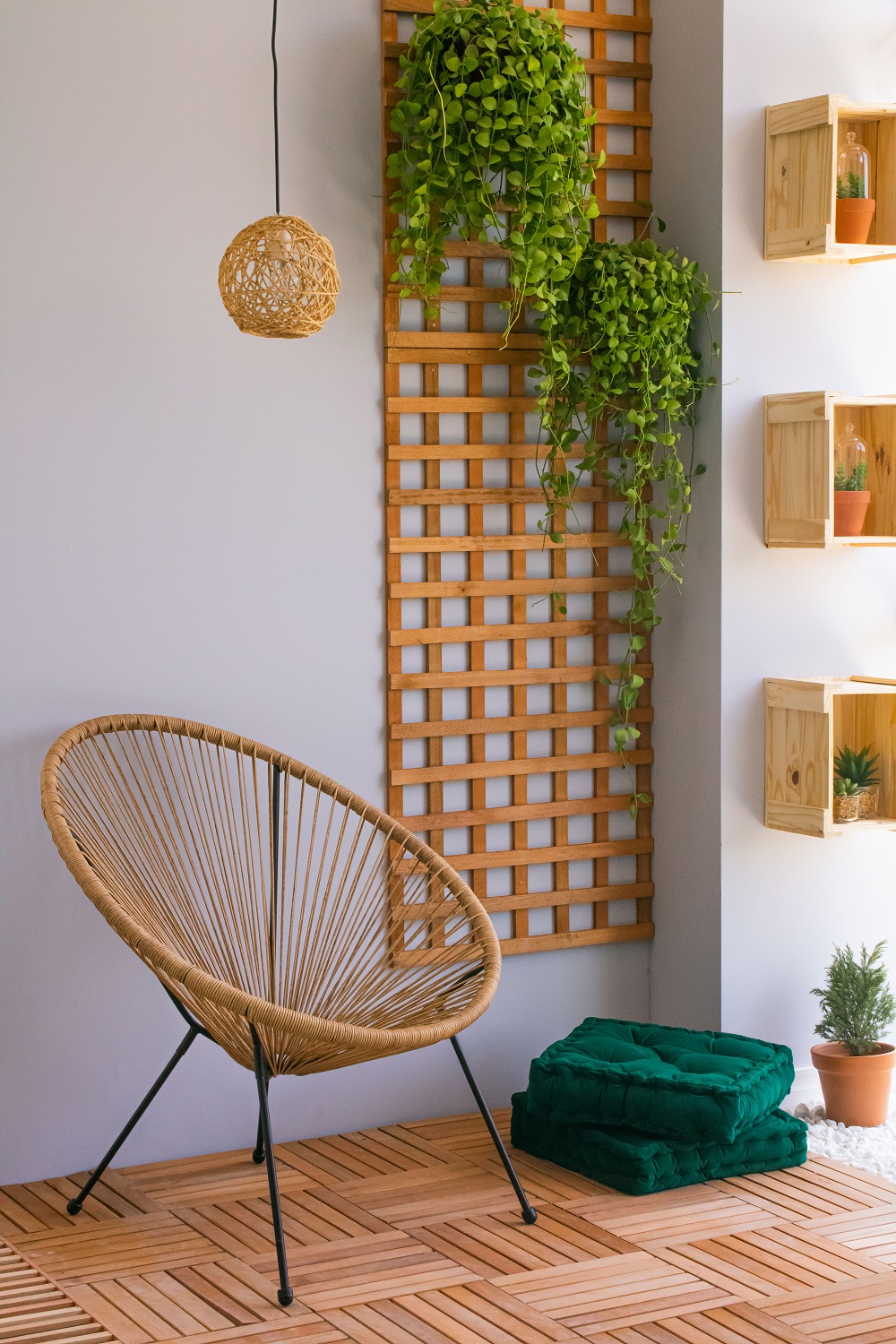 melhores folhagens para decorar sua casa