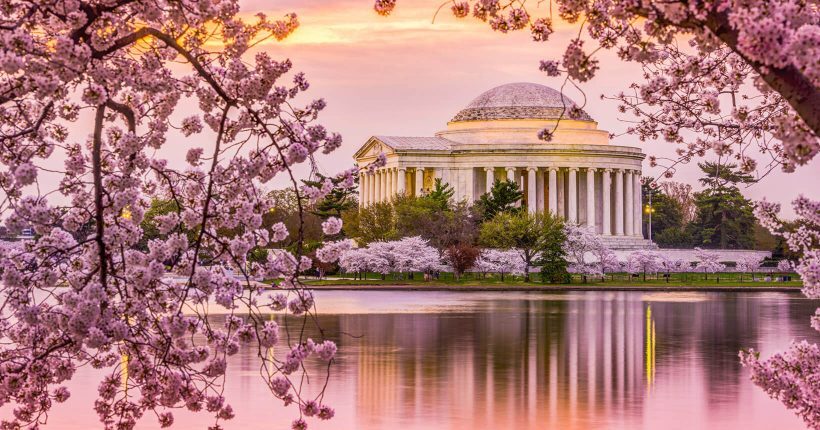 Minas Gerais 2026: Roteiro Gastronômico e Cultural Imperdível