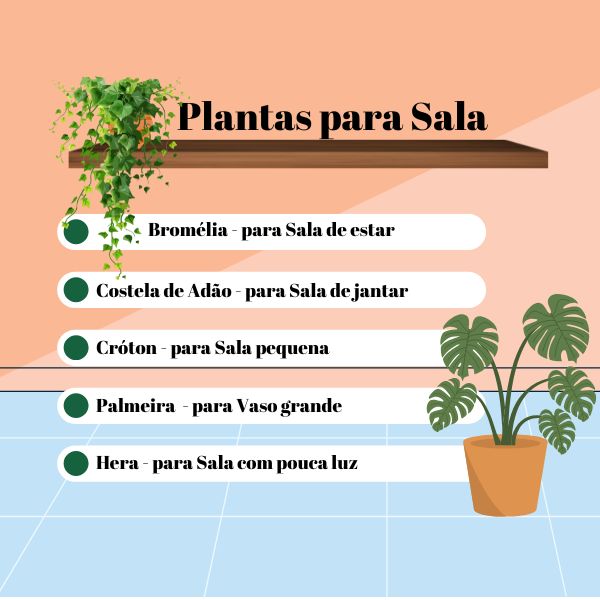 erros ao escolher plantas para sala pequena