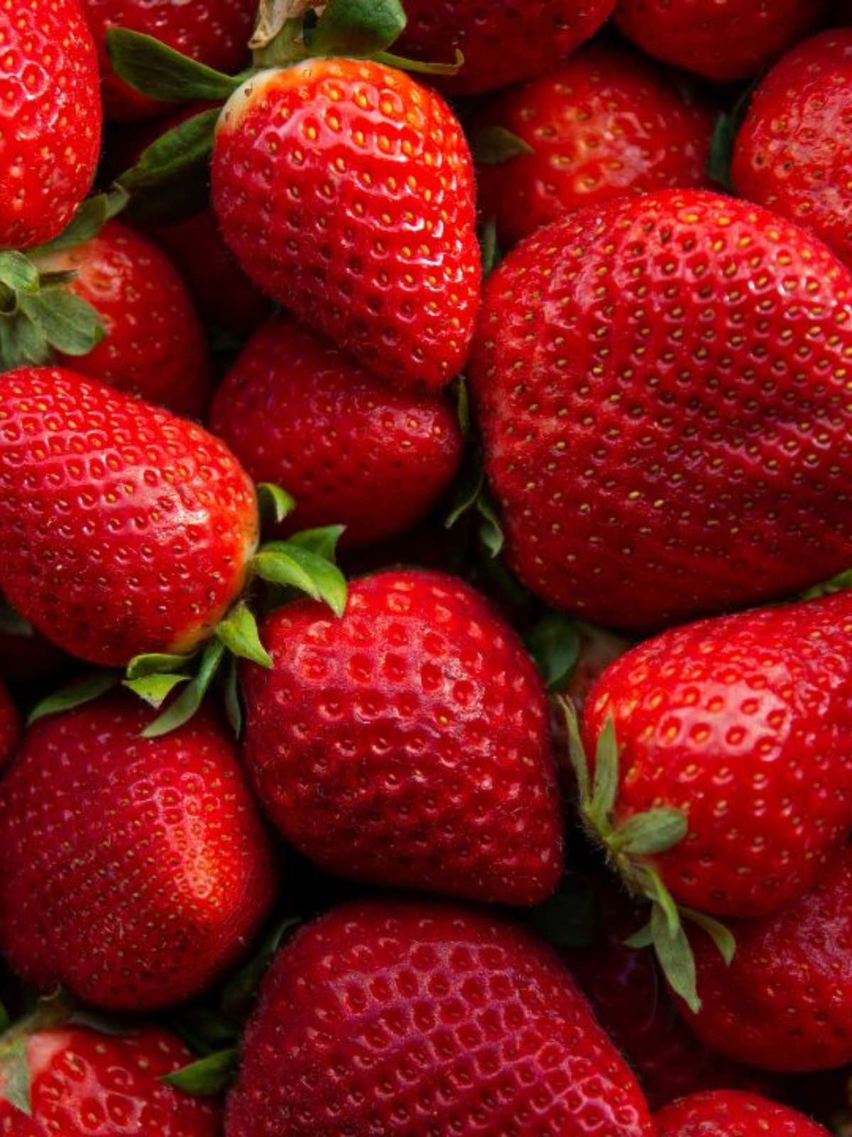 Vitamina C do Morango: Um Escudo para sua Imunidade