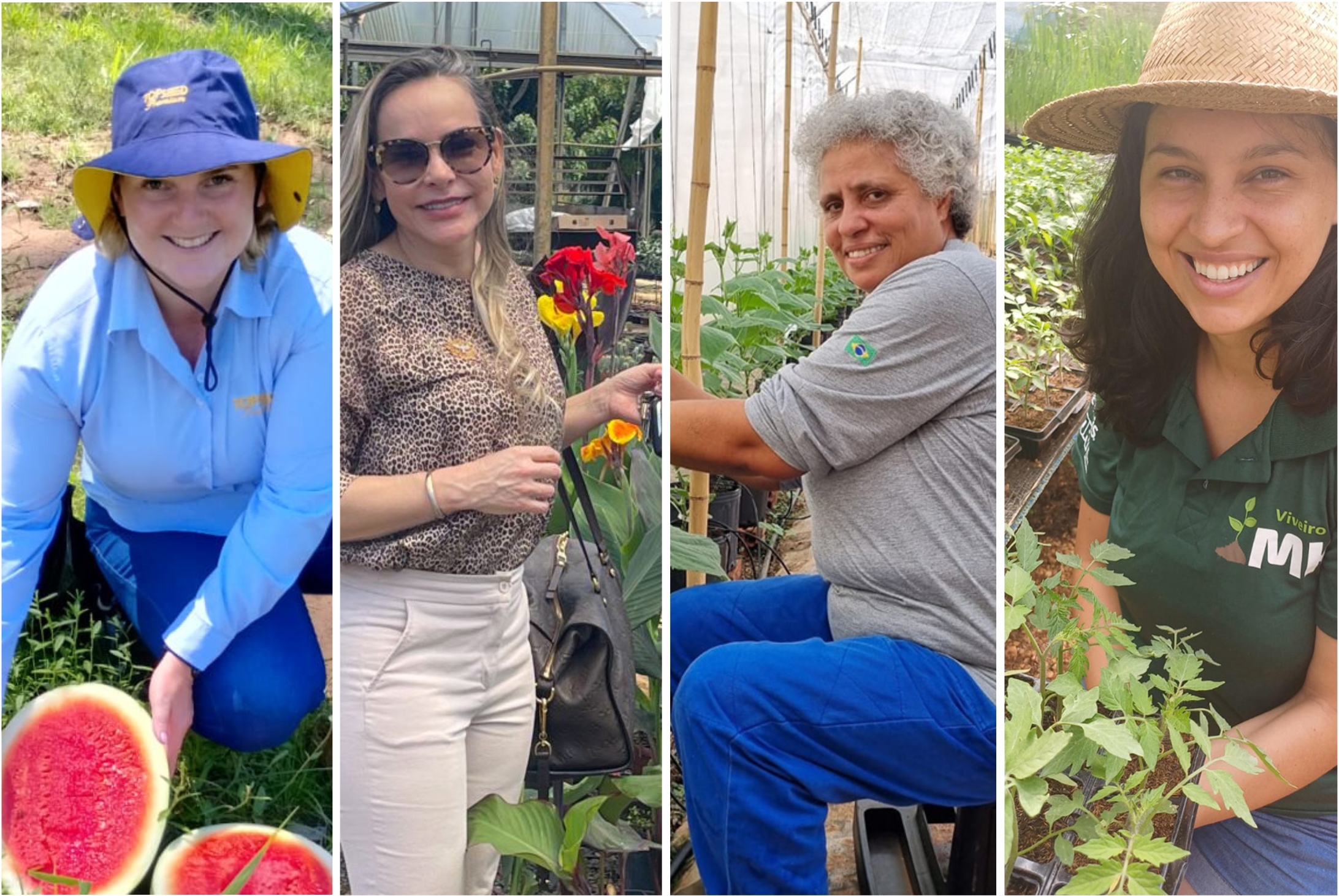 histórias de sucesso feminino no agro