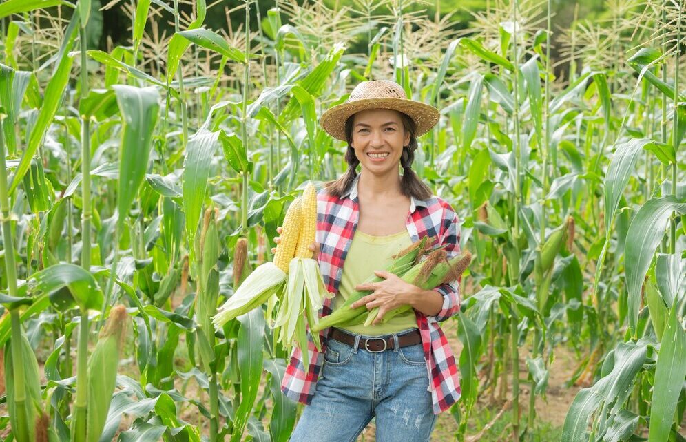 mulheres que revolucionam a agricultura tropical