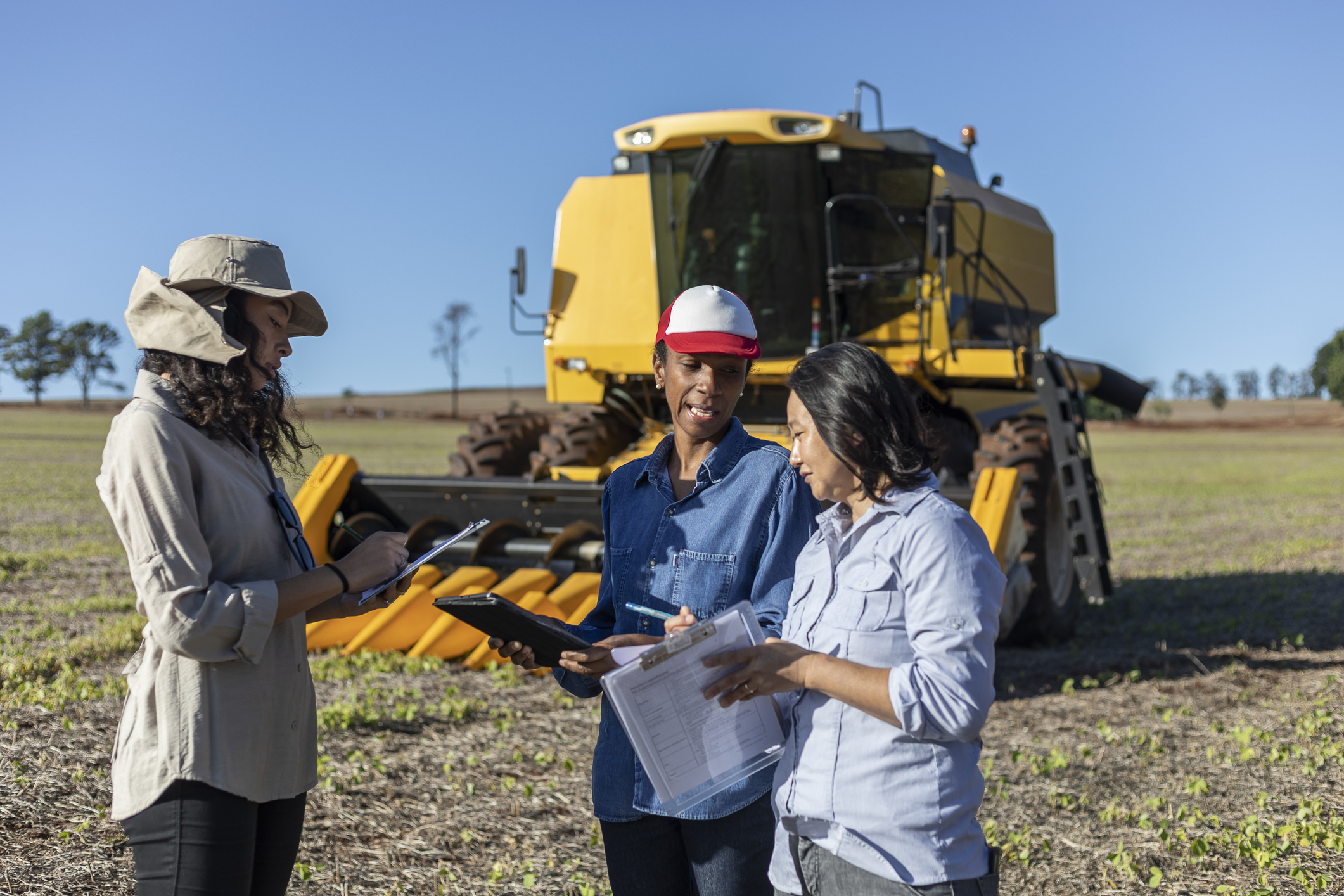 impacto das mulheres na agricultura do Brasil