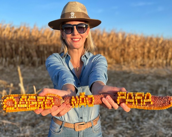 empreendedorismo feminino no campo brasileiro