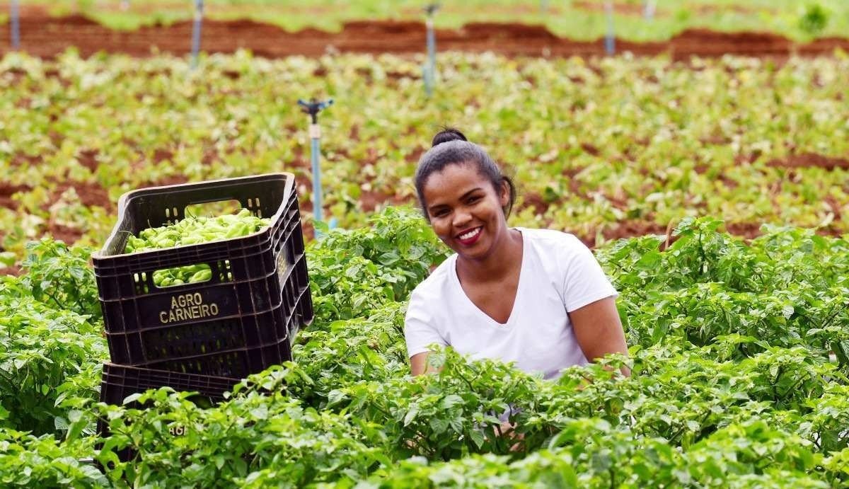mulheres que revolucionam a agricultura tropical