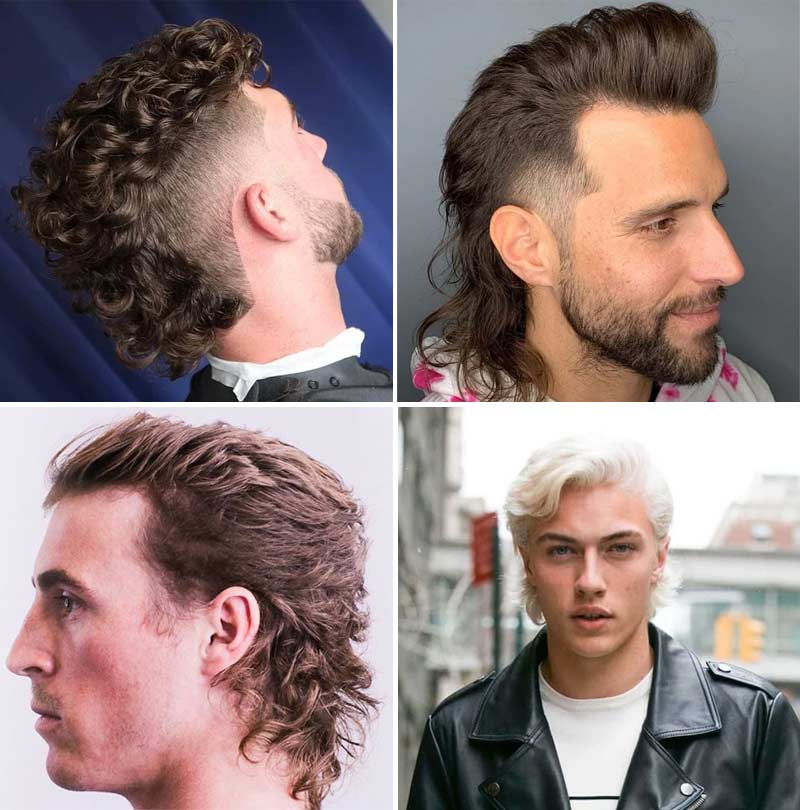 mullet desfiado