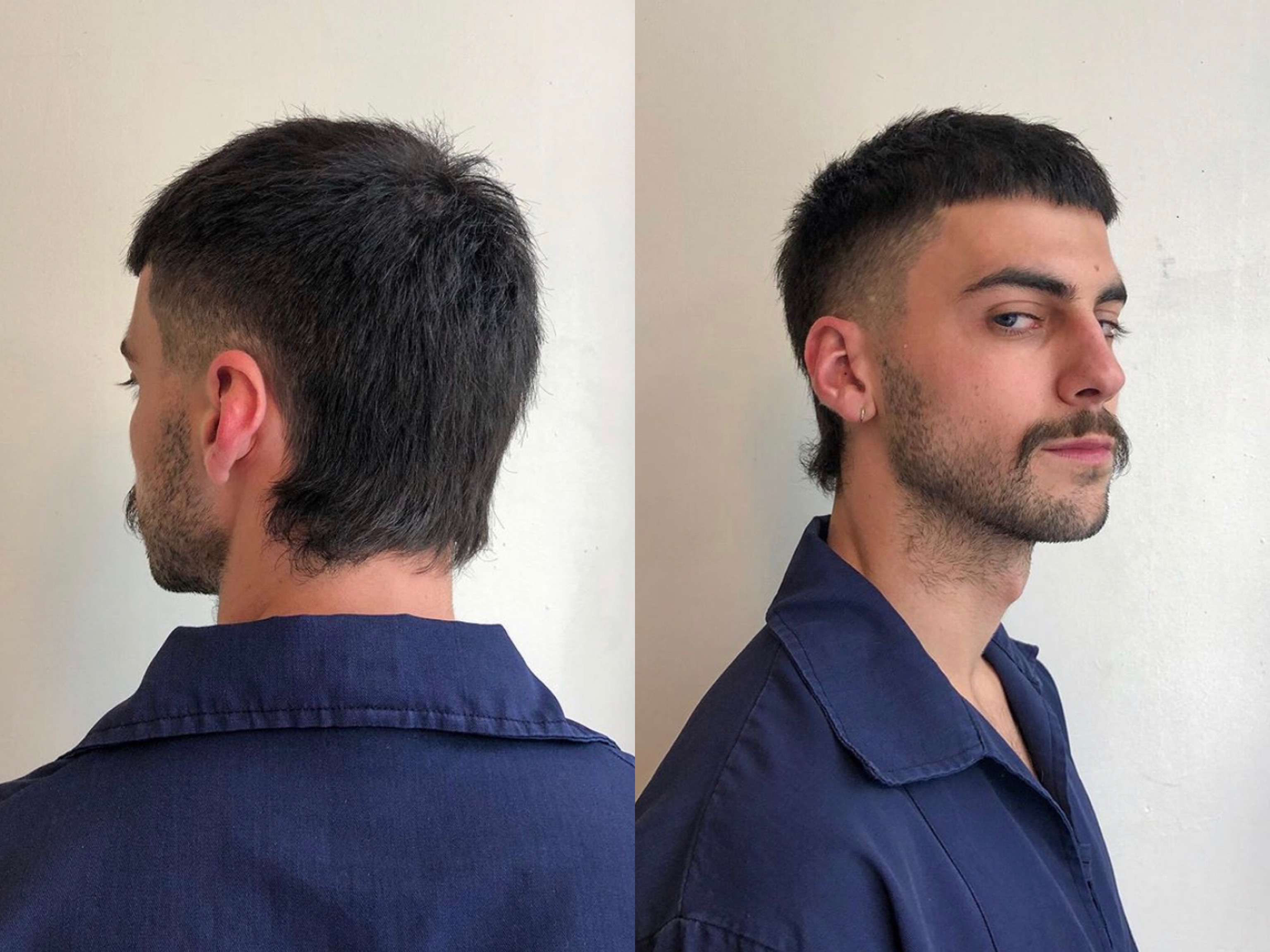 mullet longo