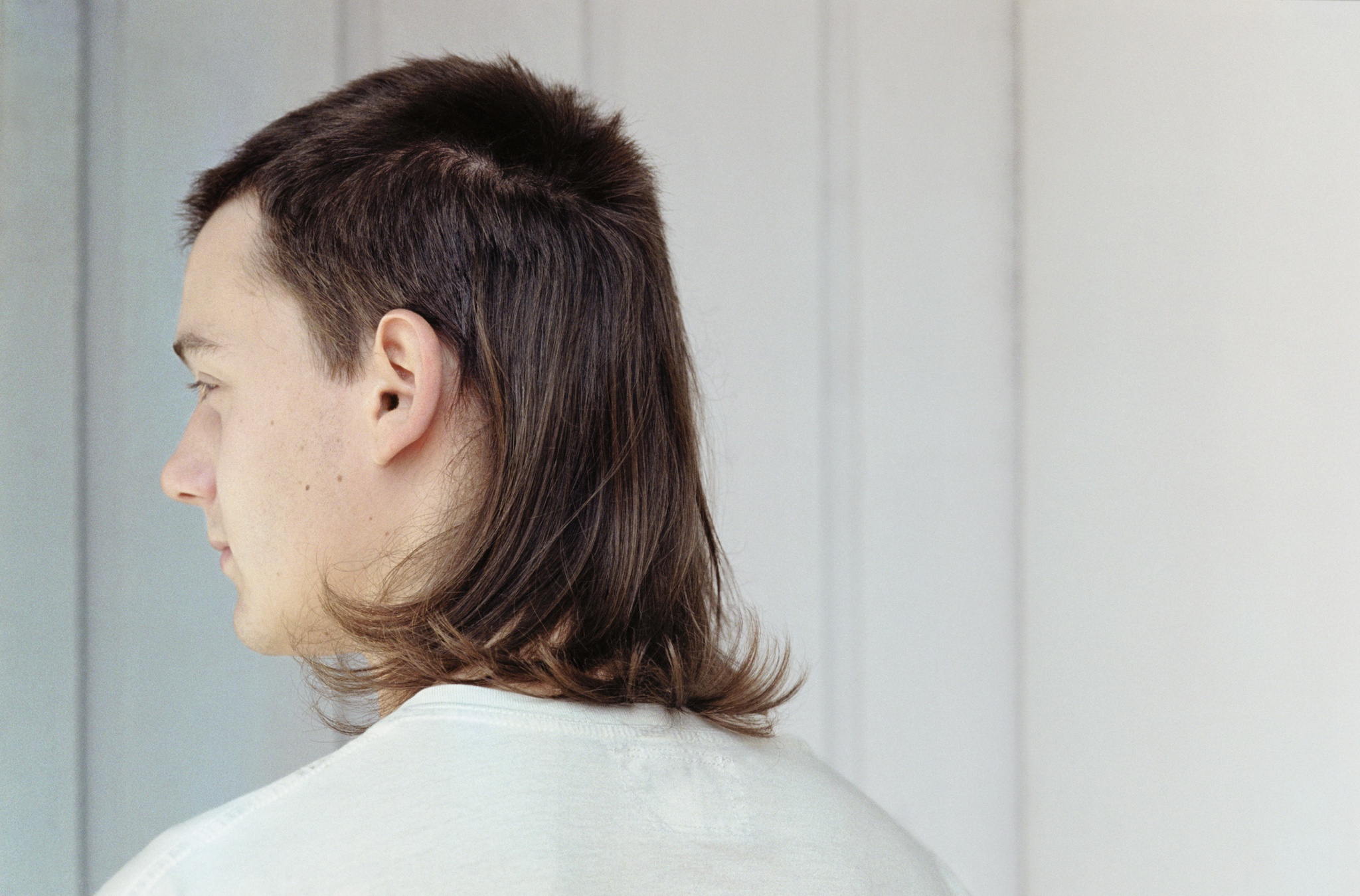 mullet repicado