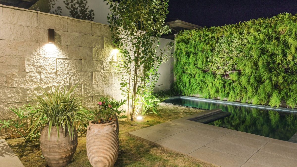 plantas para muro com pouca manutenção