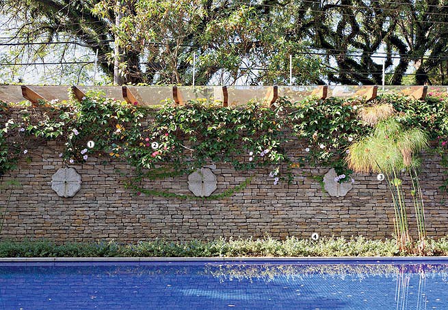 iluminação para jardim vertical
