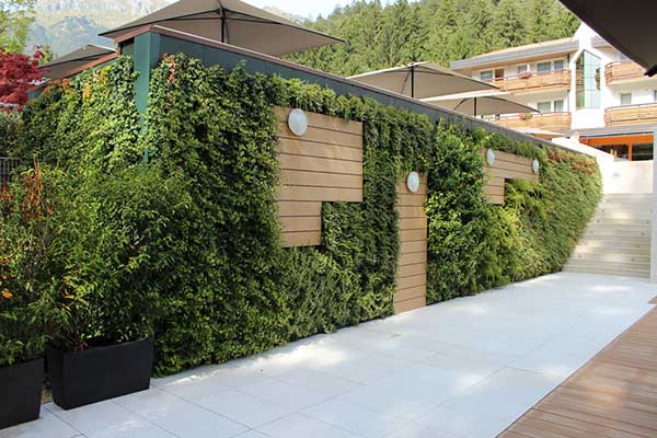 como iluminar muro com plantas