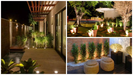 escolher plantas para muro externo
