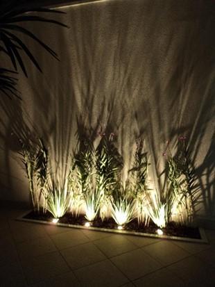 como iluminar muro com plantas