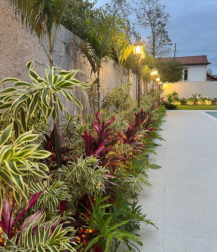 escolher plantas para muro externo