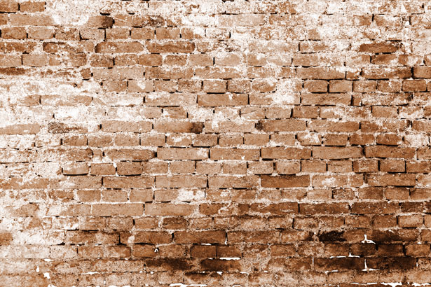 muro de tijolos ecológicos preço