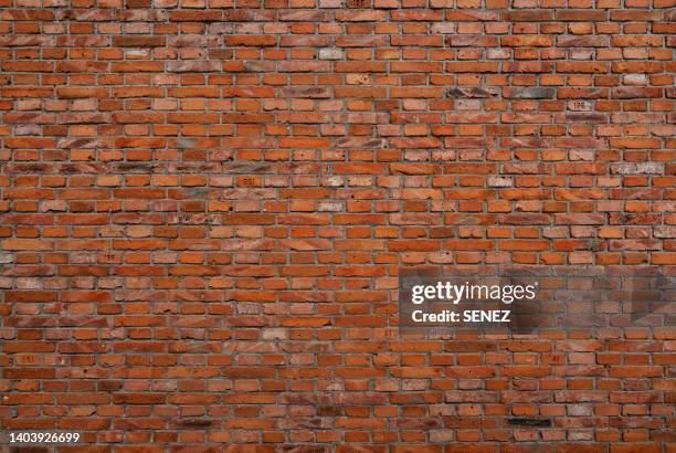 muro de tijolos para jardim