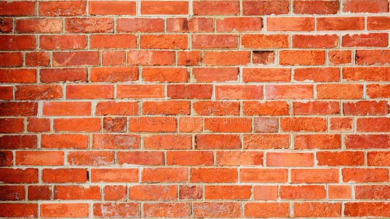 muro de tijolos para jardim