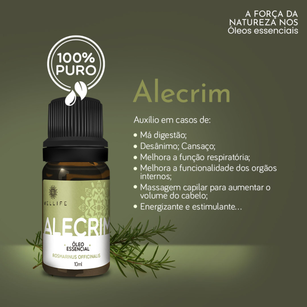 benefícios do alecrim para o crescimento capilar