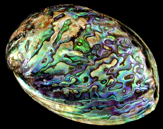 O Brilho Místico do Abalone: Guia Completo sobre Joias e Esoterismo