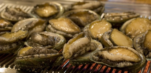 Abalone: Um Molusco de Luxo Ameaçado e a Importância da Aquicultura