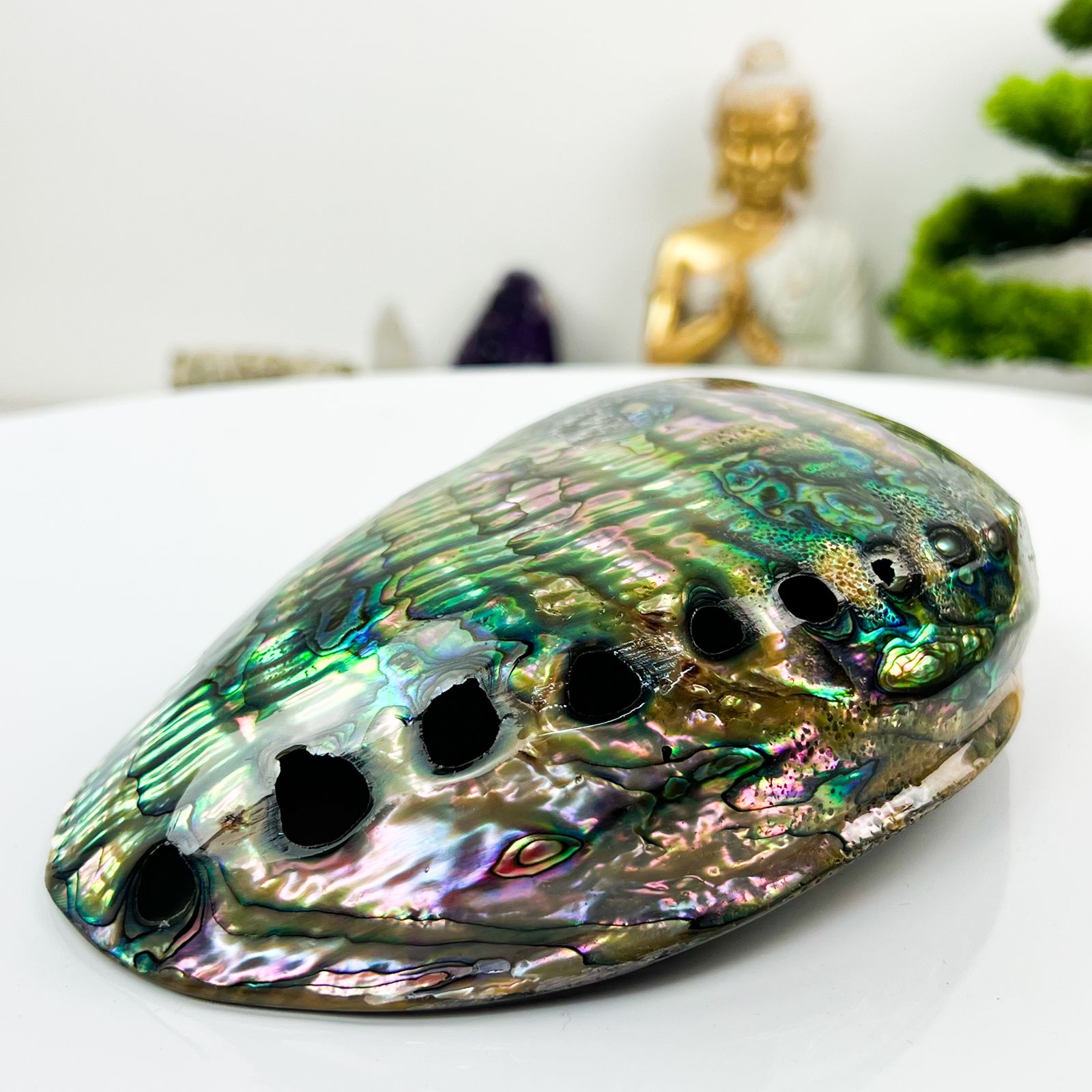 O Brilho Místico do Abalone: Guia Completo sobre Joias e Esoterismo