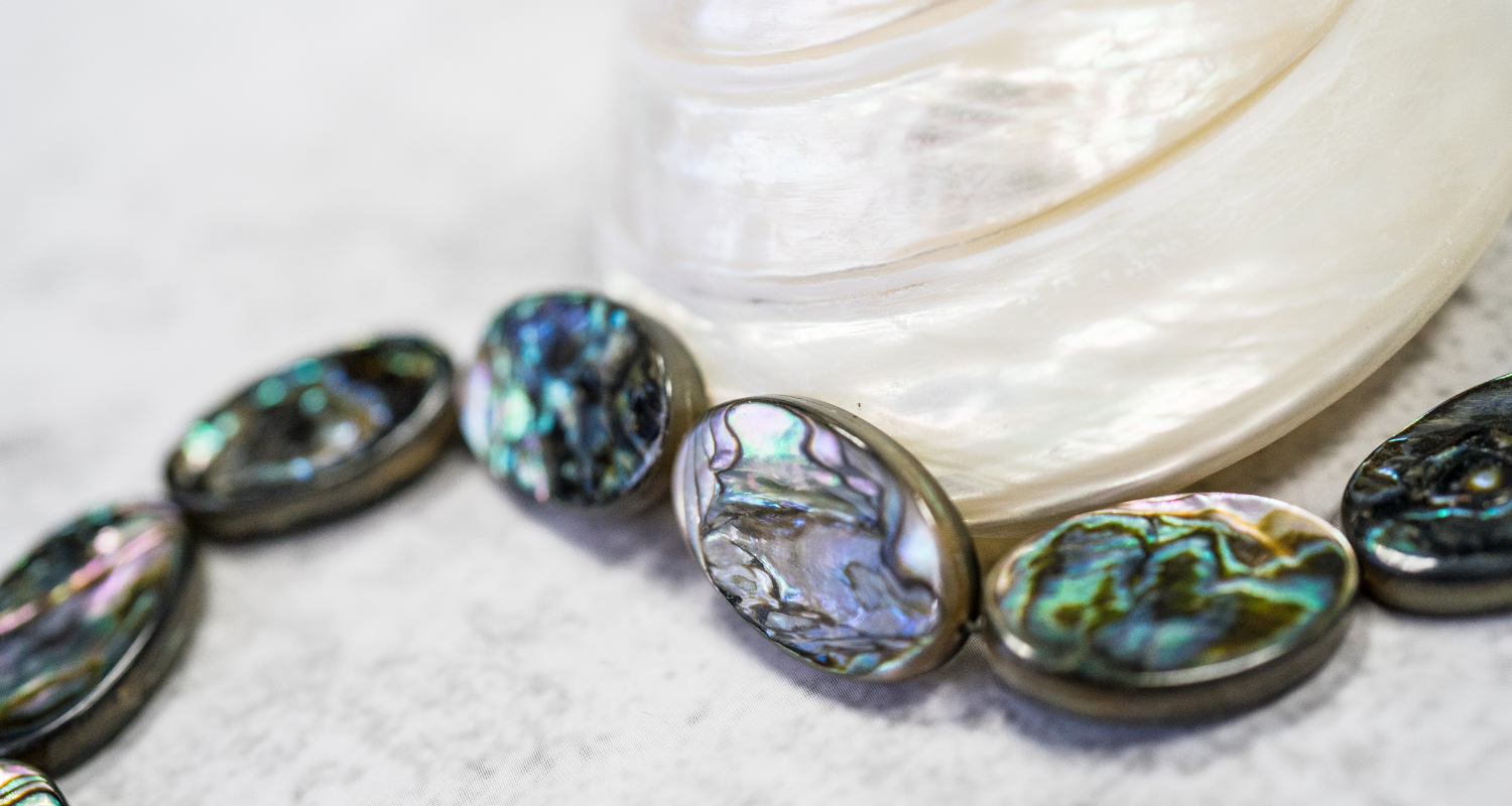 Abalone: Um Molusco de Luxo Ameaçado e a Importância da Aquicultura