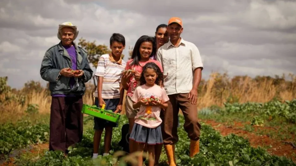Tipos de Agricultores Familiares: Além do Pequeno Produtor Rural