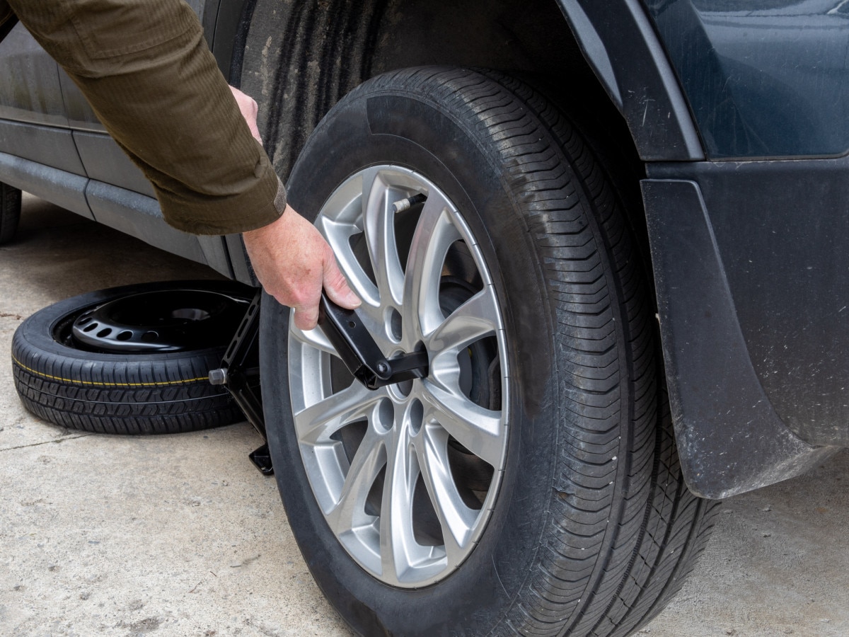 Garrafa e Jacaré: Qual Usar?