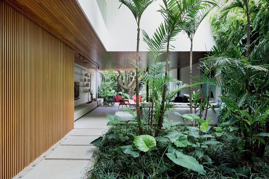 5 plantas fáceis de cuidar para iniciantes