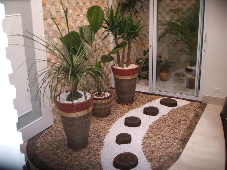 Guia completo de adubação para plantas de interior