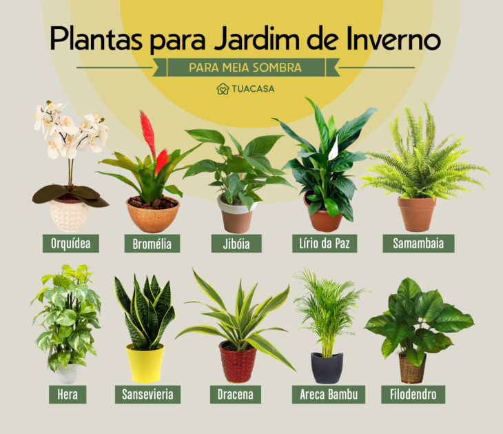 Como montar um jardim de inverno sustentável