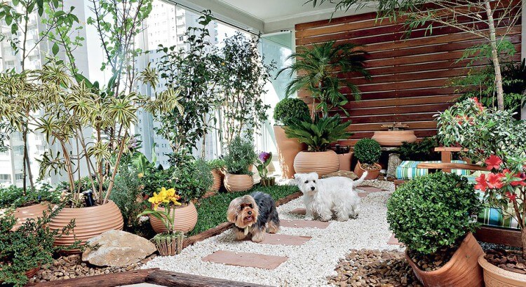 Benefícios das plantas para a saúde mental